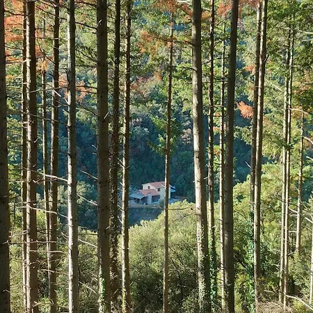 De Madera El Roserar De * Montseny
