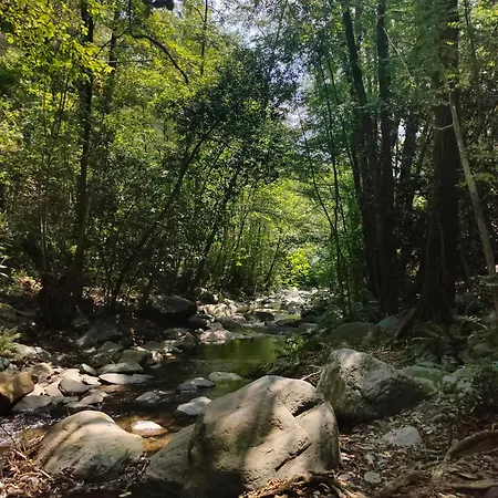 De Madera El Roserar De * Montseny